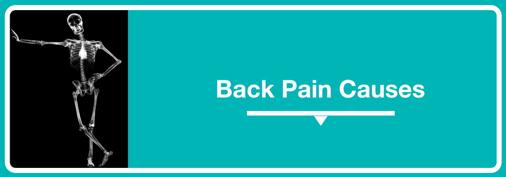 Back Pain Causes