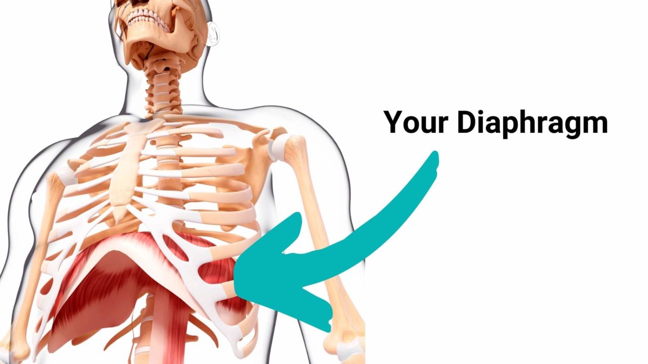 What kind of doctor do I see for my diaphragm?